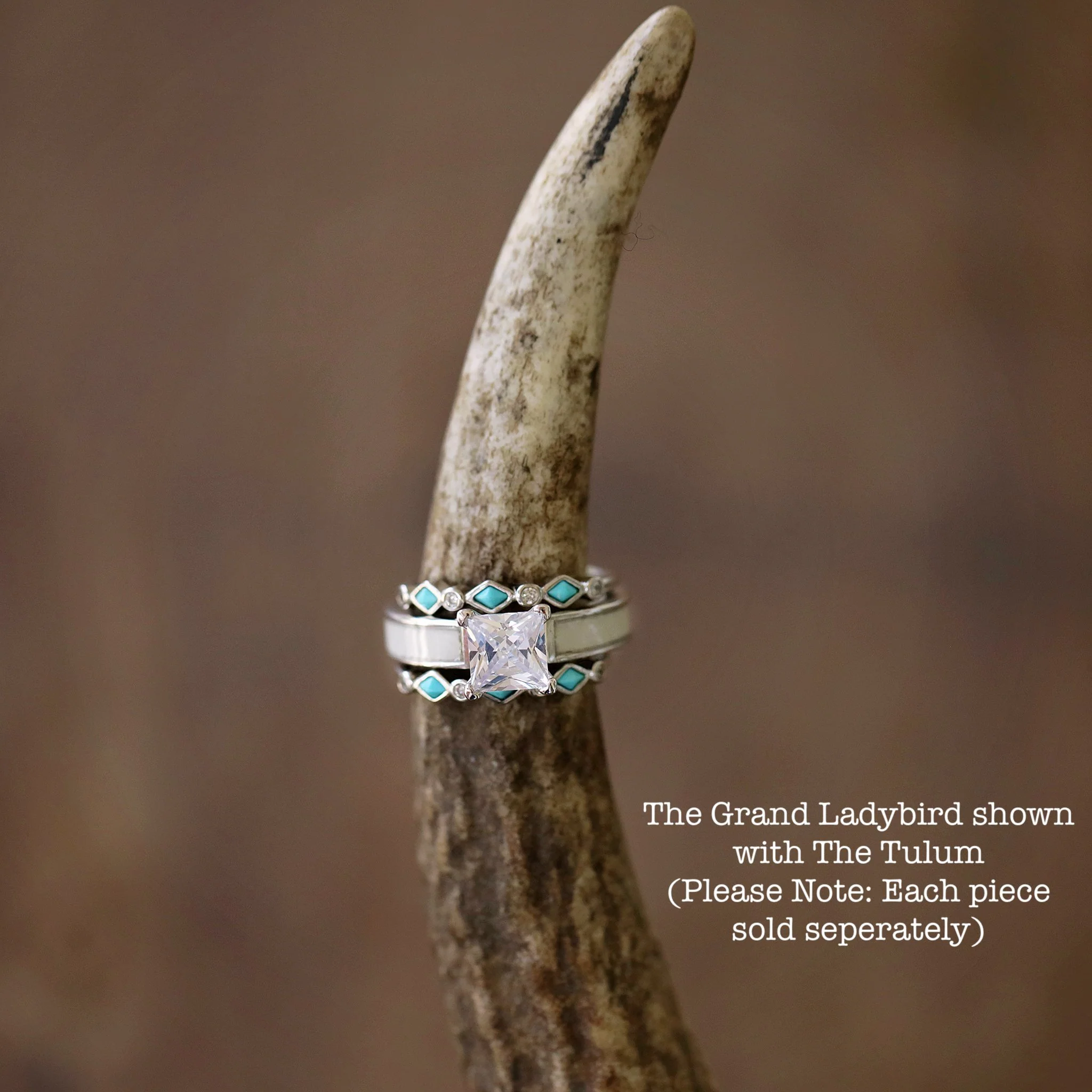 The Grand Ladybird - Image 4