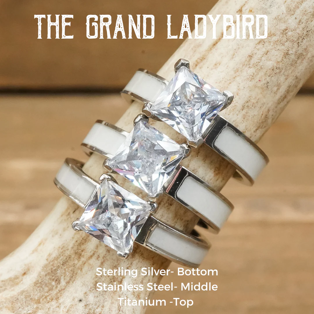 The Grand Ladybird - Image 7