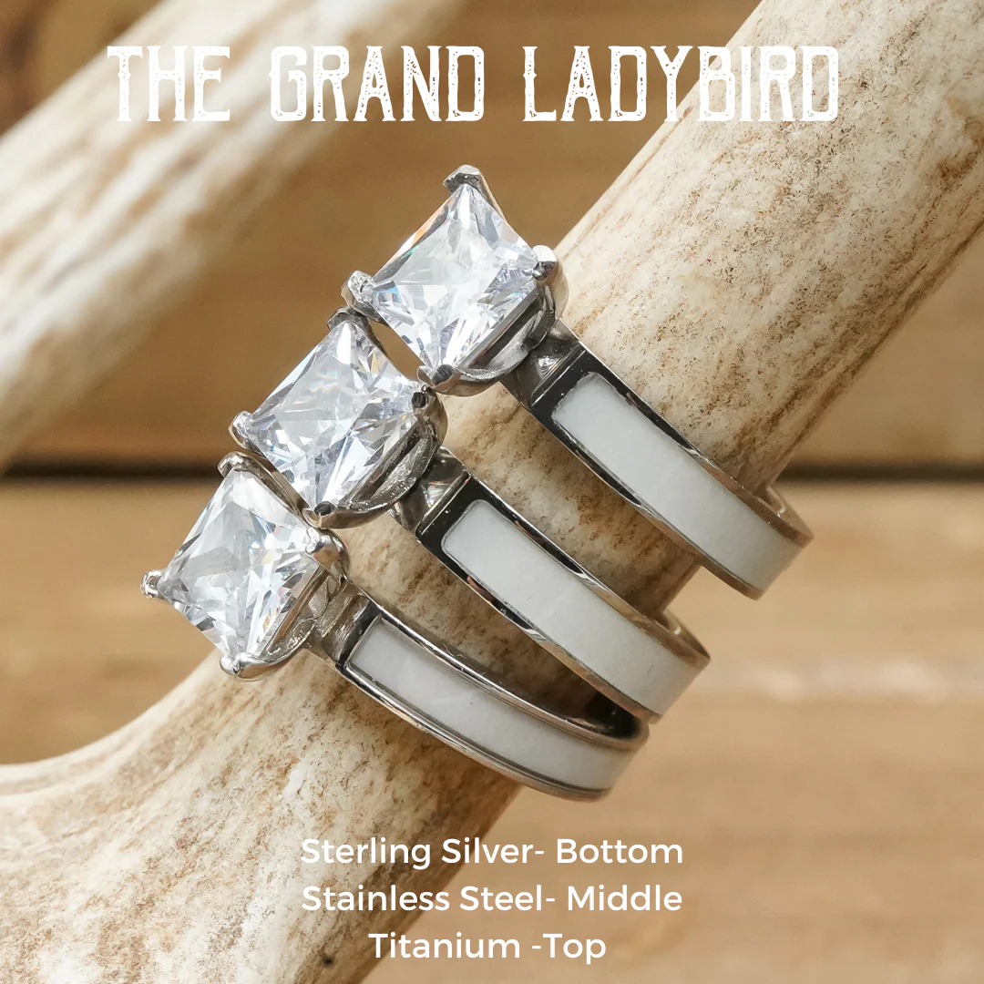 The Grand Ladybird - Image 8